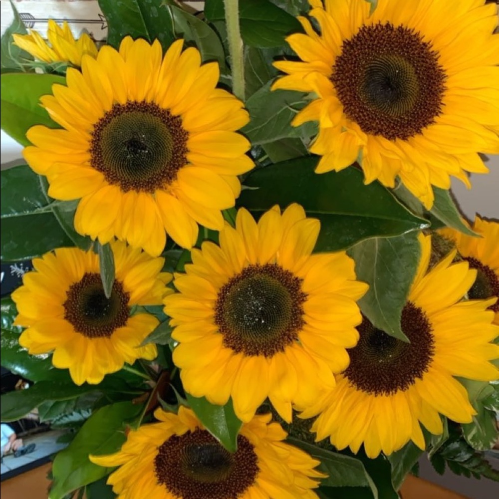 Meet your Posher, Mrs